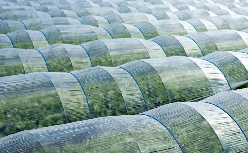 【ポスト投函】 福岡有明海産 焼き海苔 全形10枚 海苔 焼海苔 のり