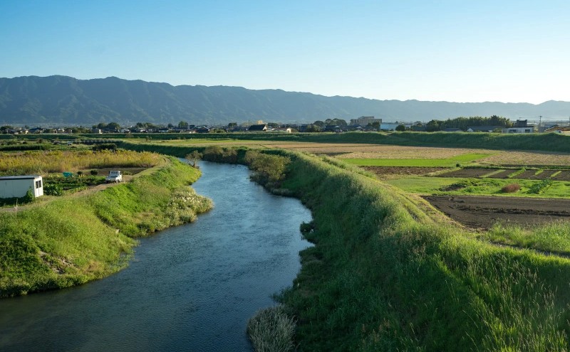 【ポスト投函】 福岡有明海産 焼き海苔 全形10枚 海苔 焼海苔 のり