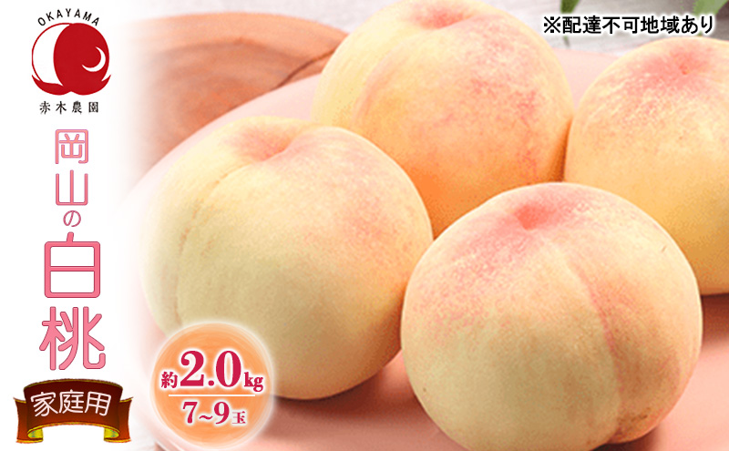 �y���R�������s�z�� 2026�N ��s�\�� ���ƒ�p ���R�̔��� ��2.0kg 7�`9�� ���� ���� ���� �t���[�c �ʕ� ���Y �Ԗؔ_��