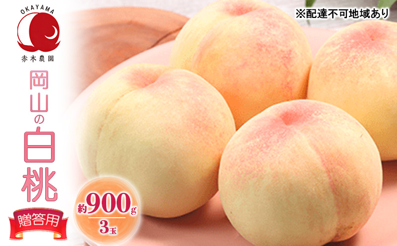 �y���R�������s�z�� 2026�N ��s�\�� �����p ���R�̔��� ��900g 3�� ���� ���� ���� �t���[�c �ʕ� ���Y �Ԗؔ_��