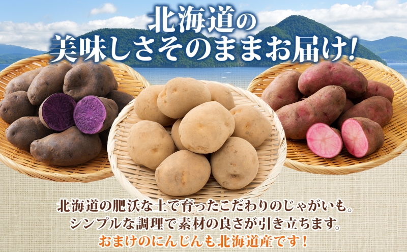 とうやマルシェ 3色じゃがいも おまけにんじん 600g×2 計1.2kg じゃがいも 芋 いも イモ ニンジン にんじん 人参 北海道産 国産 冷凍野菜 野菜 根菜 カラフル きたあかり シャドークイーン ノーザンルビー お取り寄せ 送料無料 北海道 洞爺湖町