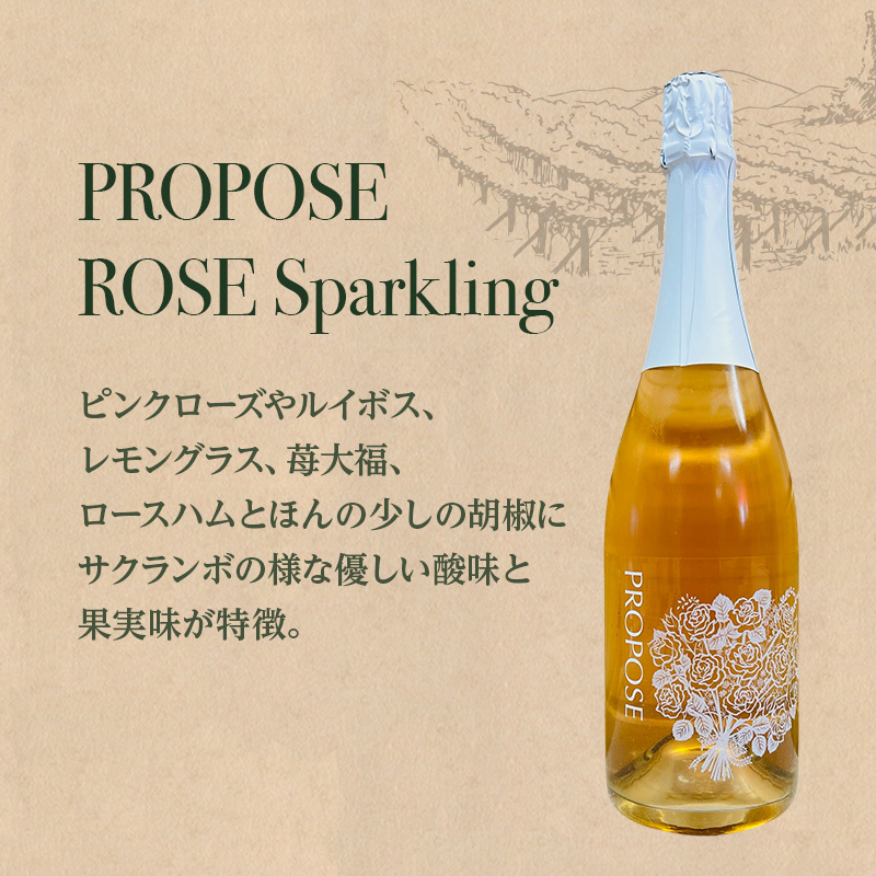 【北海道仁木町 ふるさと納税限定ワインセット】旭台エリア 5生産者 ワイン 6本 セット　飲み比べ 6種 お酒 酒 果実酒 晩酌 葡萄 ぶどう ブドウ 料理 食事 お祝い 北海道 仁木町