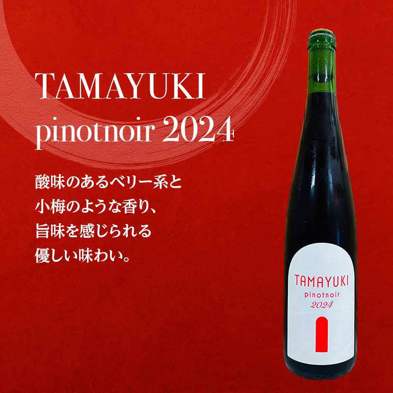 【北海道仁木町 ふるさと納税限定ワインセット】旭台エリア 5生産者 ワイン 6本 セット　飲み比べ 6種 お酒 酒 果実酒 晩酌 葡萄 ぶどう ブドウ 料理 食事 お祝い 北海道 仁木町