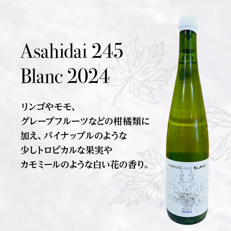 【北海道仁木町 ふるさと納税限定ワインセット】旭台エリア 5生産者 ワイン 6本 セット　飲み比べ 6種 お酒 酒 果実酒 晩酌 葡萄 ぶどう ブドウ 料理 食事 お祝い 北海道 仁木町