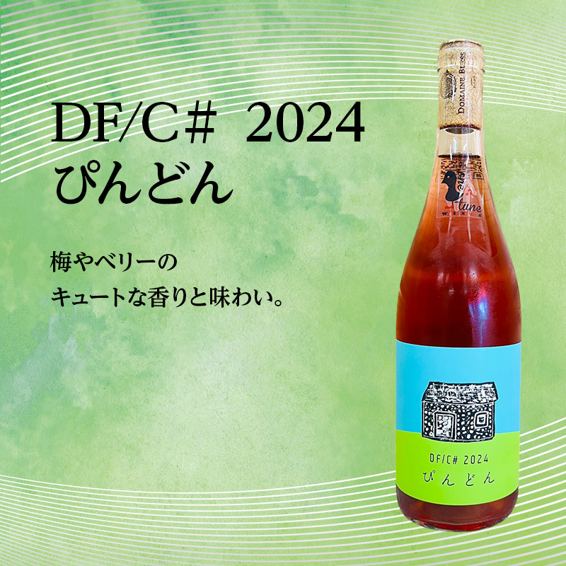【北海道仁木町 ふるさと納税限定ワインセット】旭台エリア 5生産者 ワイン 6本 セット　飲み比べ 6種 お酒 酒 果実酒 晩酌 葡萄 ぶどう ブドウ 料理 食事 お祝い 北海道 仁木町