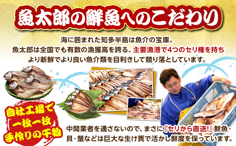 魚太郎名物 自家製とろさば入り 干物セット