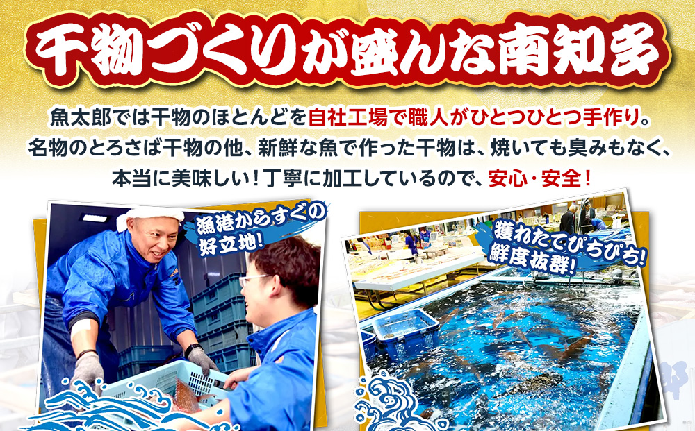 魚太郎名物 自家製とろさば入り 干物セット