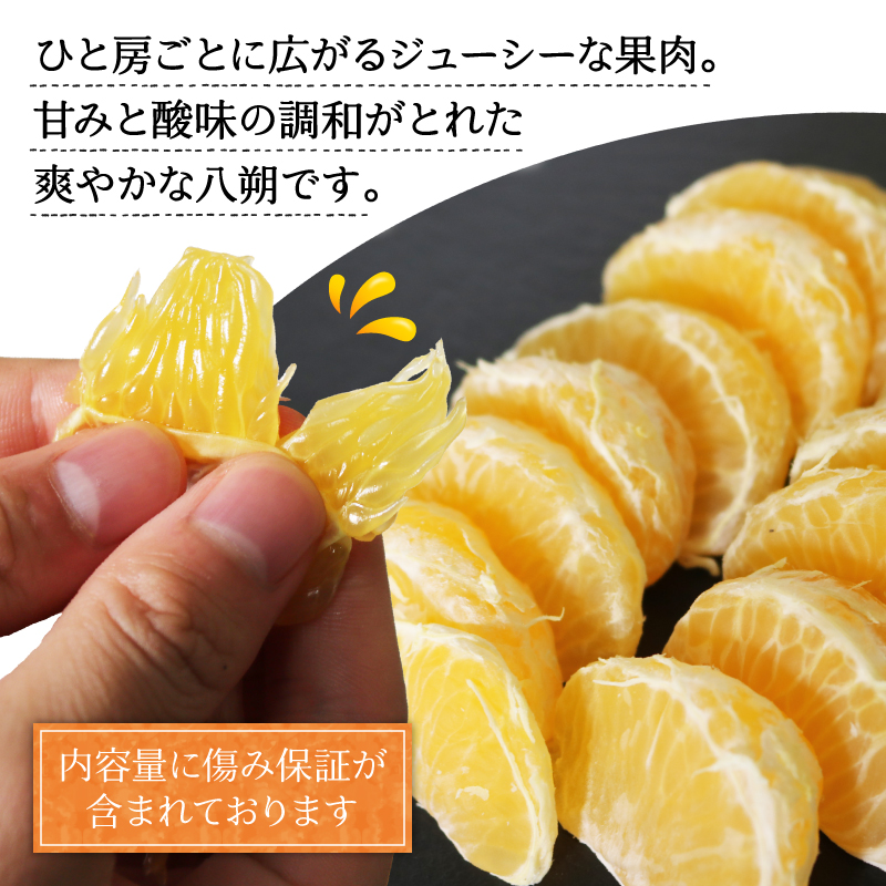 訳あり 八朔 約2kg   南知多町産  柑橘 果物 フルーツ デザート 人気 おすすめ 愛知県 南知多町 ふるさと納税 ふるさと納税柑橘 愛知県産 南知多町産