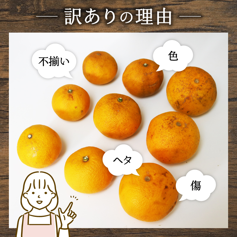 訳あり 八朔 約2kg   南知多町産  柑橘 果物 フルーツ デザート 人気 おすすめ 愛知県 南知多町 ふるさと納税 ふるさと納税柑橘 愛知県産 南知多町産