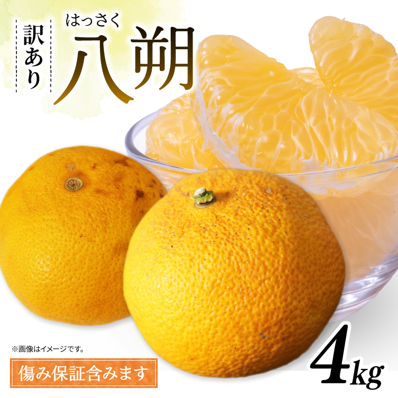 訳あり 八朔 約4kg   南知多町産  柑橘 果物 フルーツ デザート 人気 おすすめ 愛知県 南知多町 ふるさと納税 ふるさと納税柑橘 愛知県産 南知多町産