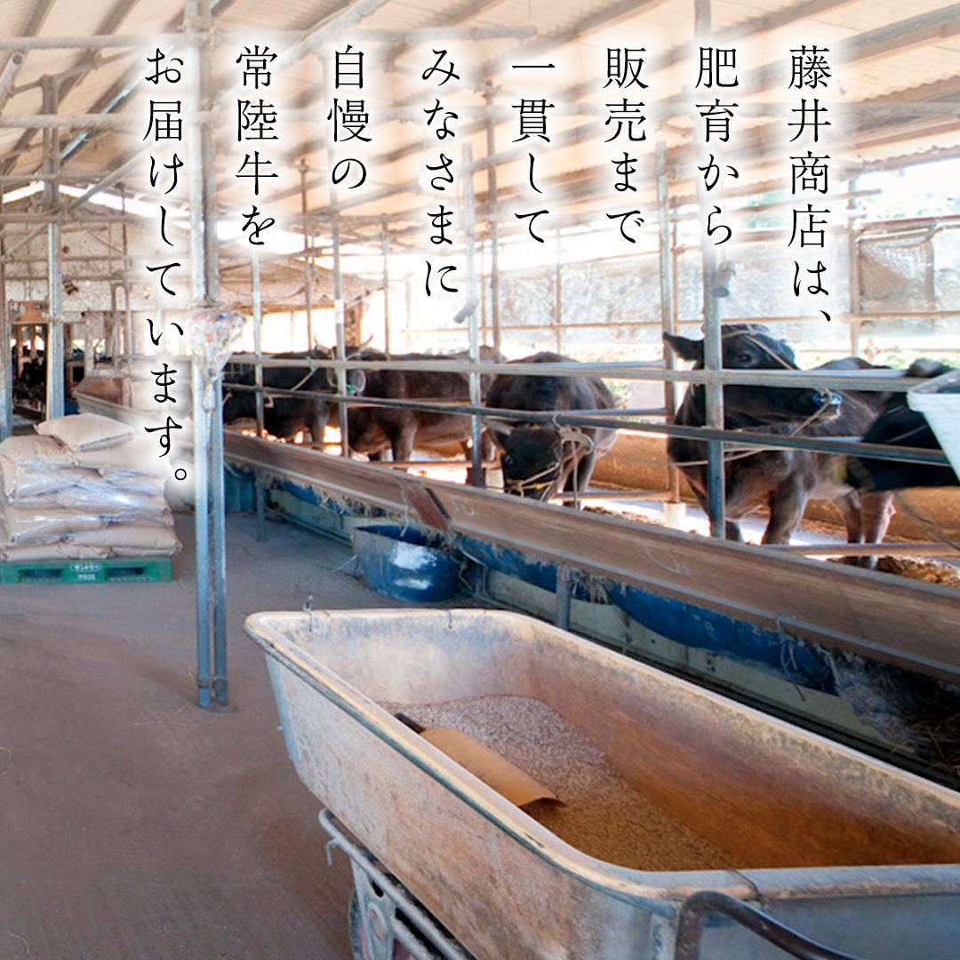 茨城県桜川市のふるさと納税 【 常陸牛 】 牛肉 霜降り すきやき しゃぶしゃぶ用 400g (茨城県共通返礼品) 牛 肉 すき焼き 国産牛 和牛 お肉 すき焼き肉 しゃぶしゃぶ A4 A5 ブランド牛 黒毛和牛 国産黒毛和牛 [CD002sa]