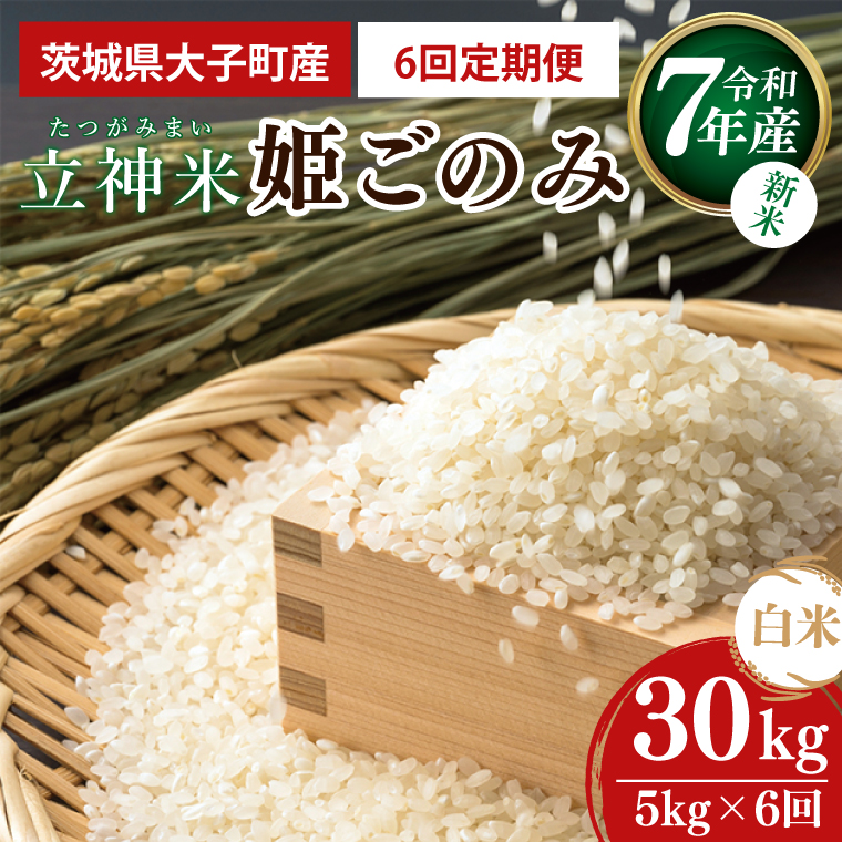 【6ヶ月定期便】【新米】令和7年産 立神米「姫ごのみ」（白米）定期便 5kg× 6回｜茨城県 大子町 米 コンテスト 受賞 生産者 大子産米 産地直送(BT073)