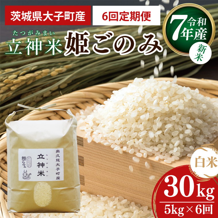 y錧qzy6ցzyVāzߘa7NY _āuP̂݁viāj 5kg×6(BT073)