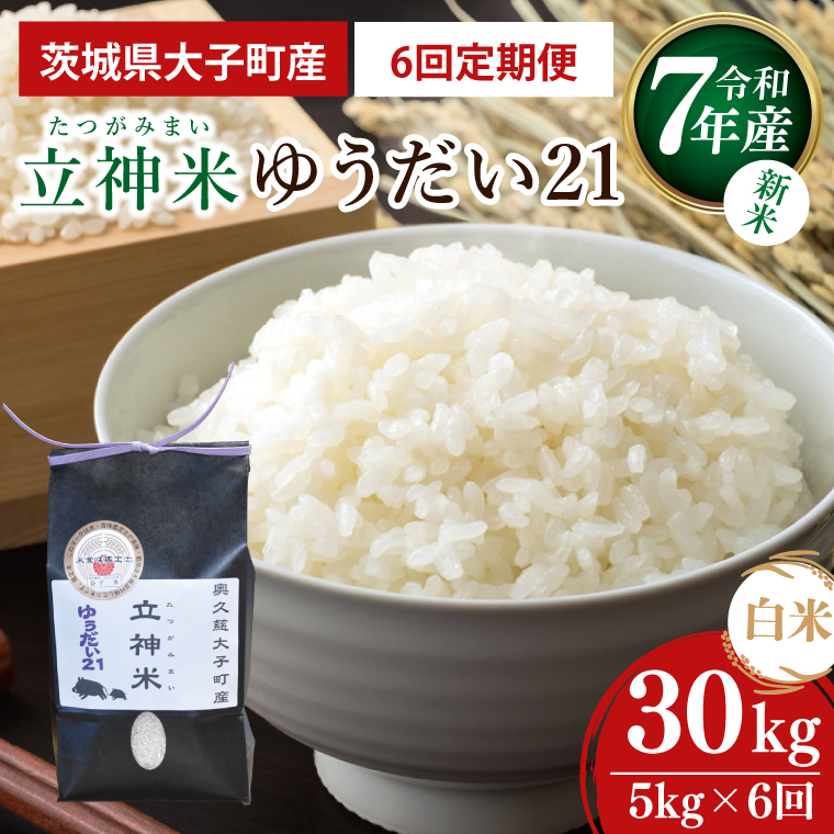 【6ヶ月定期便】【新米】令和7年産 立神米ゆうだい21（白米）5kg×6回｜茨城県 大子町 米 コンテスト 受賞 生産者 大子産米 産地直送 モチモチ（BT076）