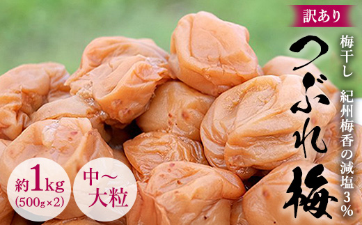 ya̎Rlz󂠂 Y ~ IB~̌3%Ԃ~ 1kg(500g x 2) `嗱 ͂˂~ IB썂~ Y) 3-G