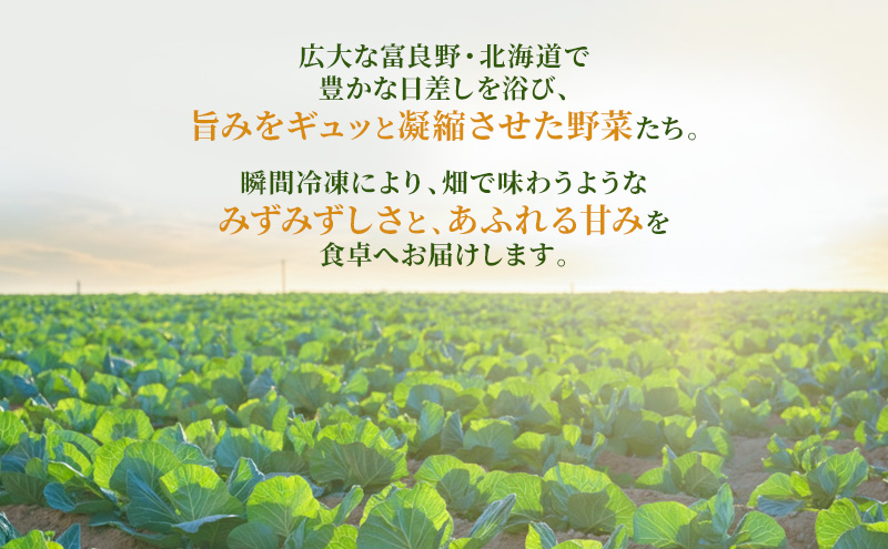 [スープと具材を丸ごと冷凍！] ふらの鍋 2人前×3種セット 【藻塩&昆布だし/コク旨キムチ/濃厚スープカレー】 お肉 肉 野菜 おかず 加工品 昆布だし キムチ スープカレー 調理不要 簡単 北海道 送料無料 道産 富良野市 ふらの