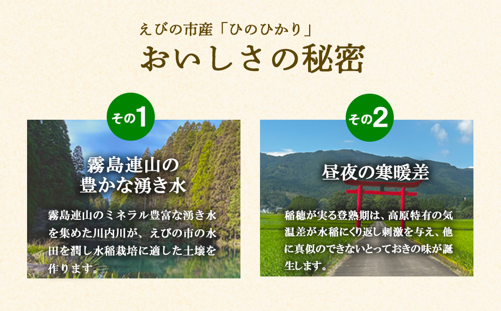 【令和7年産】【10回定期便】米 ひのひかり 5kg 合計 25kg 九州 霧島 えびの産 ヒノヒカリ 発送直前に精米 農家 直送 お米 おこめ こめ コメ 白米 ふるさと納税 5キロ 九州産 宮崎県産 宮崎県 送料無料