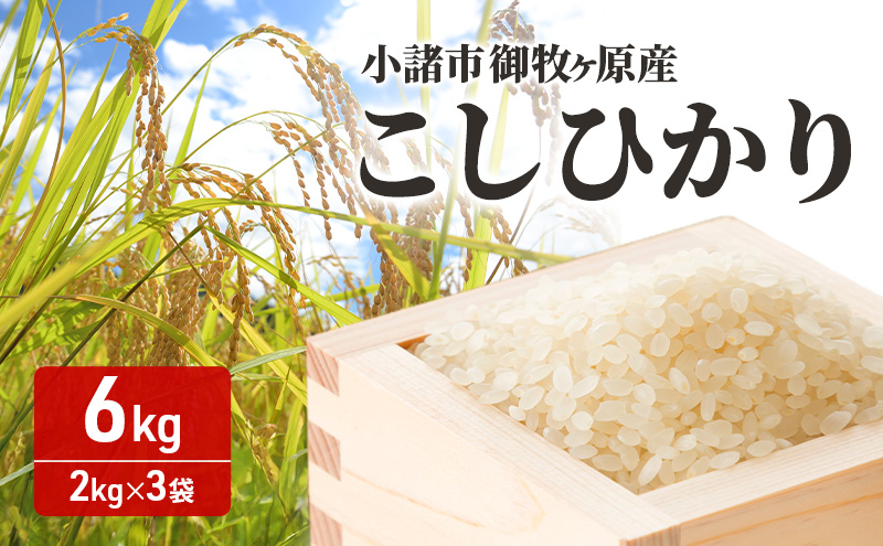 小諸市 御牧ヶ原産こしひかり 　6kg（2kg×3袋）長野 信州 コシヒカリ 精米 美味しいお米 お取り寄せ おこめ 白米