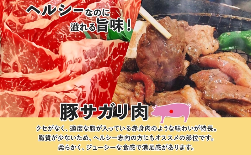 塩ダレ豚サガリ 250g×4袋 豚肉 焼肉 ヘルシー サガリ肉 酒のお供 おつまみ おかず 白米 冷凍 焼くだけ簡単 一人暮らし 真空パック お取り寄せグルメ お肉屋 たどころ 送料無料 北海道 洞爺湖町