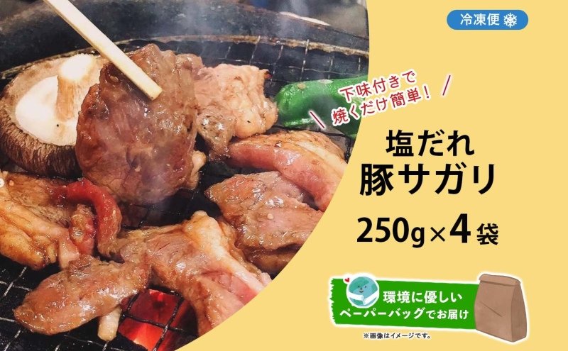 塩ダレ豚サガリ 250g×4袋 豚肉 焼肉 ヘルシー サガリ肉 酒のお供 おつまみ おかず 白米 冷凍 焼くだけ簡単 一人暮らし 真空パック お取り寄せグルメ お肉屋 たどころ 送料無料 北海道 洞爺湖町