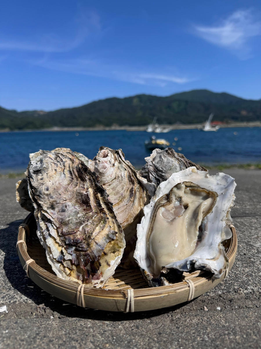 宮古湾産 生牡蠣 加熱用むき身 1パック(400g程度) 牡蠣 加熱用 むき身 訳あり 冷凍 牡蛎 牡蠣 かき カキ 冷蔵