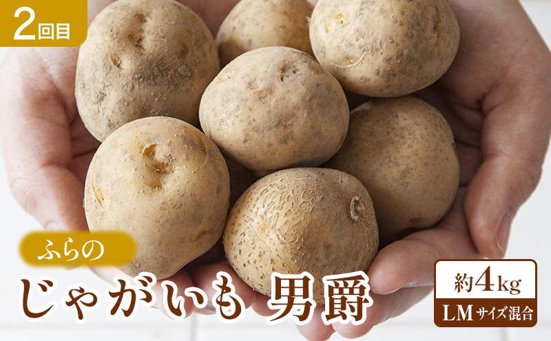 【2026年夏～秋発送】 定期便 3ヵ月 旬を味わう 基本野菜セット 全3回（ 野菜 新鮮 直送 とうもろこし じゃがいも 男爵 玉ねぎ 道産 ふらの 送料無料 数量限定 先着順 富良野市 ）