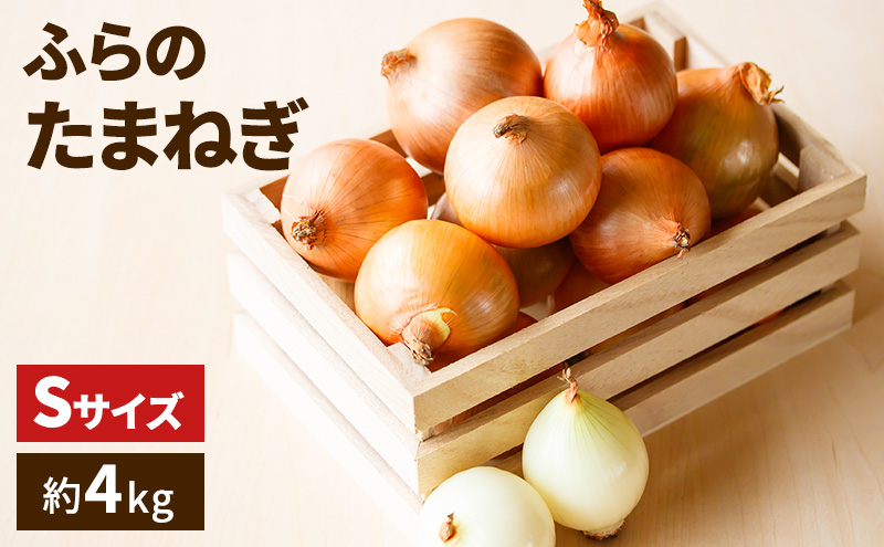 ykCxǖszy2025Nzӂ ܂˂ 10kg  STCY ( kC xǖs  VN  ʂ˂ Y ӂ  ʌ )