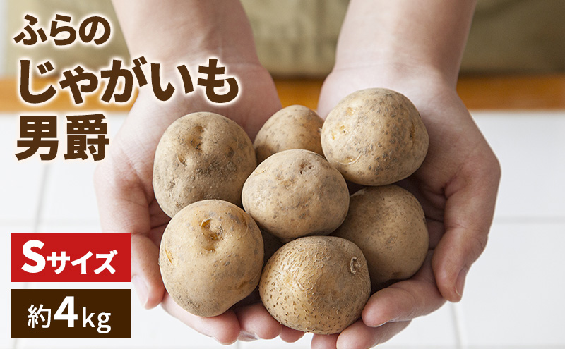 【2025年発送】ふらの じゃがいも（品種：男爵）約4kg 小粒 Sサイズ ( 北海道 富良野市 野菜 新鮮 直送 じゃがいも 男爵 道産 ふらの 送料無料 数量限定 )