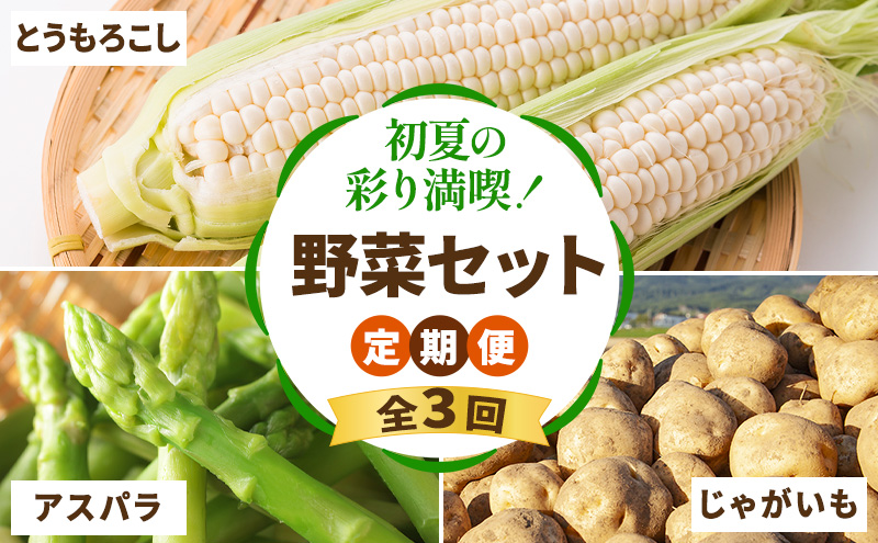 ykCxǖszy2026Nt`Hz 3 Ă̍ʂ薞i ؃Zbg S3 i  VN  AXp Ƃ낱 Ⴊ j Y ӂ  ʌ kC xǖs j