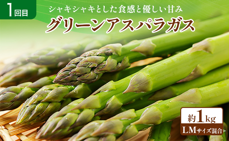 【2026年春～秋発送】定期便 3ヵ月 初夏の彩り満喫 野菜セット 全3回 （ 野菜 新鮮 直送 アスパラ とうもろこし じゃがいも 男爵 道産 ふらの 送料無料 数量限定 北海道 富良野市 ）