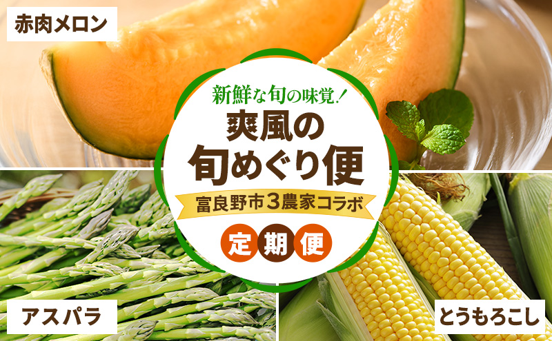 [2026年春〜夏発送][年3回定期便] 新鮮な旬の味覚 爽風の旬めぐり便 3農家コラボ 定期便 (アスパラガス 赤肉メロン とうもろこし 北海道 富良野市 野菜 果物 フルーツ 中山農園 NORTH FUN 富良野青果センター )