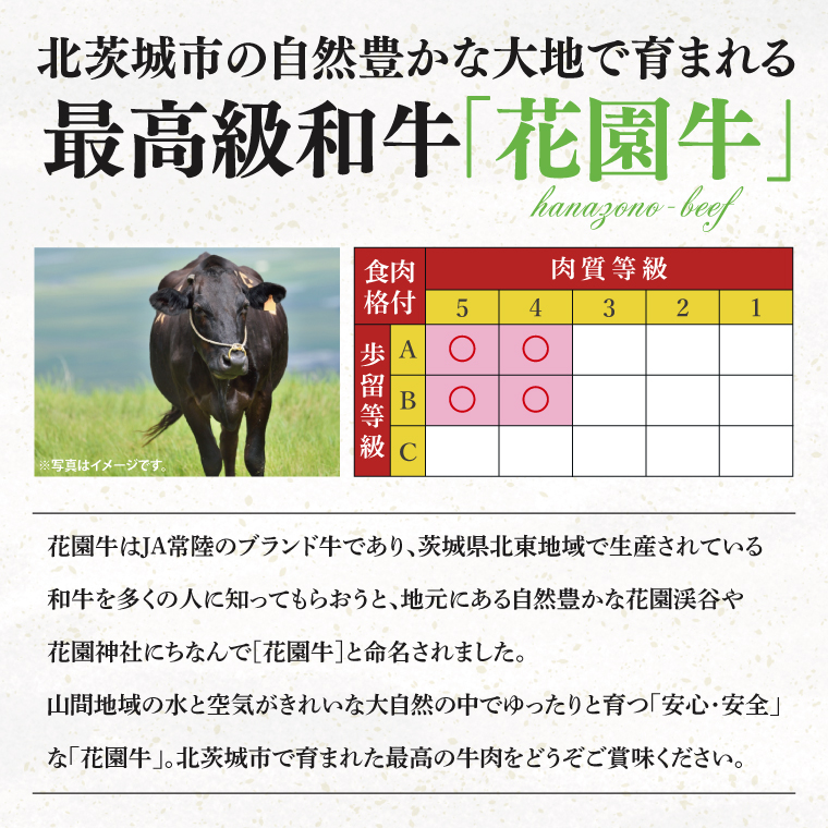 花園牛 切り落とし 約１kg【牛肉 ブランド牛 お肉 贅沢 冷凍 茨城県 北茨城市】(DC001)