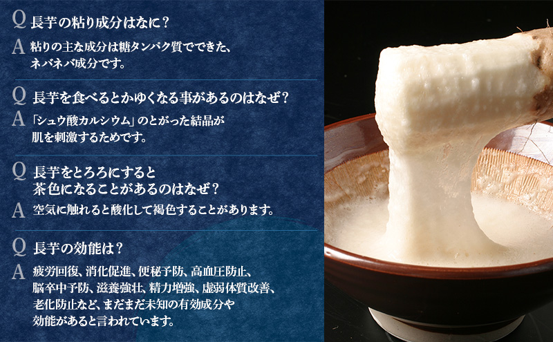 北海道 十勝の大地が育てたシャキシャキ食感と強い粘り 幕別産 長いも 2Lサイズ 10kg［木川商店］【 長いも 長芋 ながいも ナガイモ とろろ 芋 いも 野菜 10kg 5kg  産地直送 旬 濃厚 北海道 十勝 幕別 】