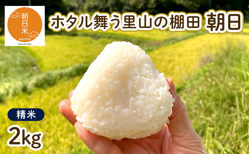 令和7年産 朝日 精米2kg ホタル舞う里山の棚田 栽培期間中 農薬 化学肥料不使用 米 岡山県 赤磐市 朝日米