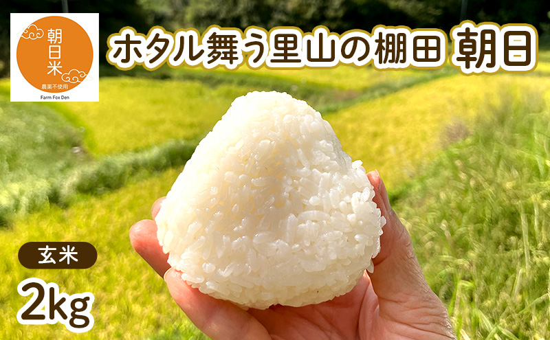 令和7年産 朝日 玄米2kg  ホタル舞う里山の棚田 栽培期間中 農薬 化学肥料不使用 米 岡山県 赤磐市 朝日米