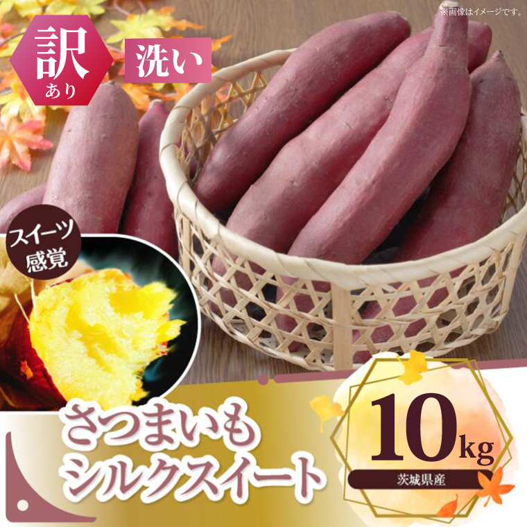 【訳あり】さつまいも　シルクスイート 約10kg｜さつまいも 芋 お芋 わけあり 訳あり シルクスイート タネのハシモト 茨城県 行方市(BS-22)