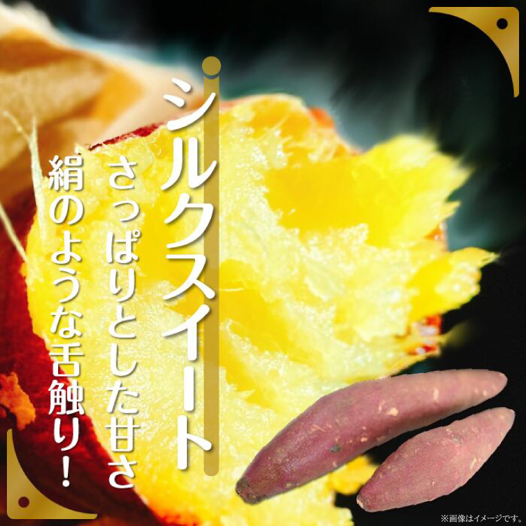 【訳あり】さつまいも　シルクスイート 約10kg｜さつまいも 芋 お芋 わけあり 訳あり シルクスイート タネのハシモト 茨城県 行方市(BS-22)
