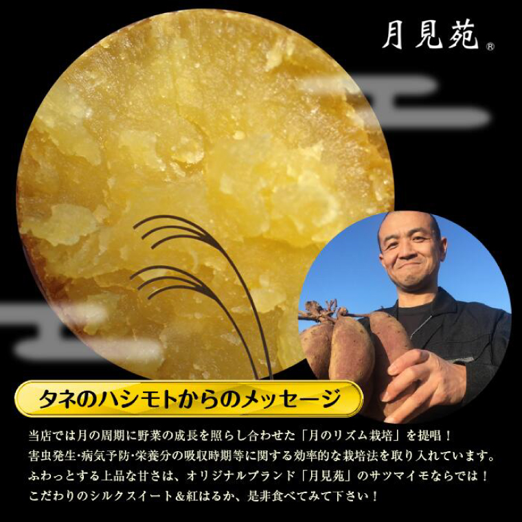 【訳あり】さつまいも　シルクスイート 約10kg｜さつまいも 芋 お芋 わけあり 訳あり シルクスイート タネのハシモト 茨城県 行方市(BS-22)