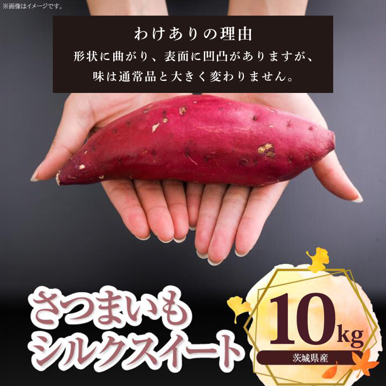 【訳あり】さつまいも　シルクスイート 約10kg｜さつまいも 芋 お芋 わけあり 訳あり シルクスイート タネのハシモト 茨城県 行方市(BS-22)