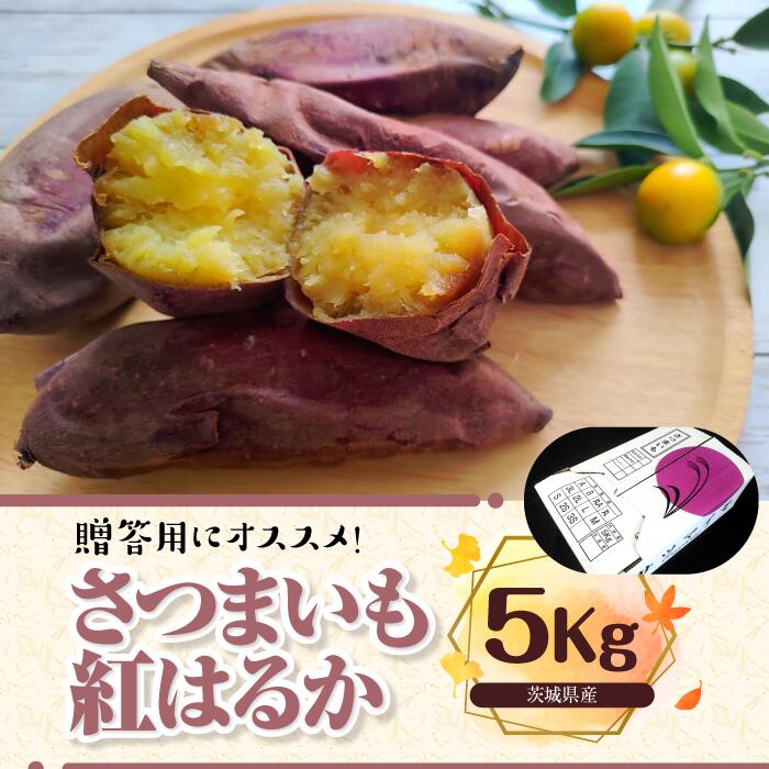 さつまいも　特選紅はるか 約5kg｜さつまいも 芋 お芋 紅はるか タネのハシモト 茨城県 行方市(BS-10)