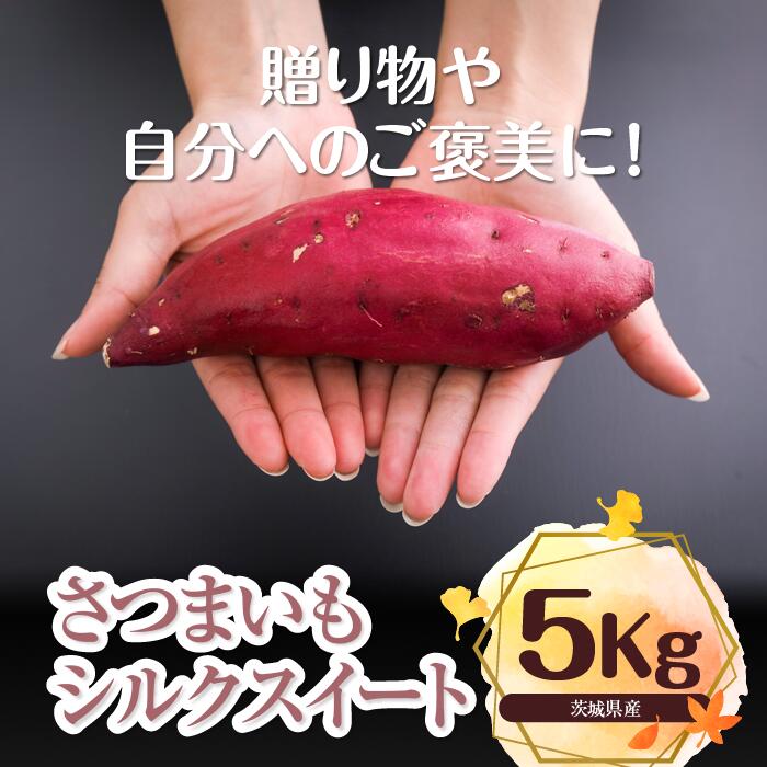 さつまいも　特選シルクスイート 約5kg｜さつまいも 芋 お芋 シルクスイート タネのハシモト 茨城県 行方市(BS-1)
