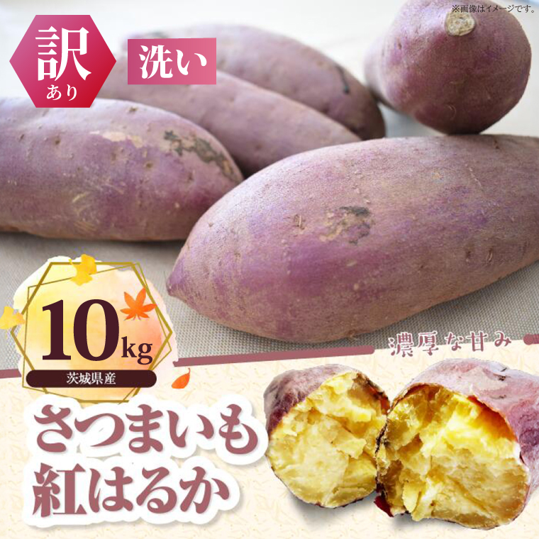 y錧sszy󂠂zg͂邩 10kgb܂   킯 󂠂 g͂邩 ^l̃nVg 錧 ss(BS-23)