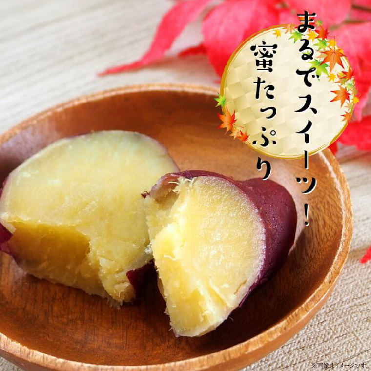 【訳あり】紅はるか 約10kg｜さつまいも 芋 お芋 わけあり 訳あり 紅はるか タネのハシモト 茨城県 行方市(BS-23)