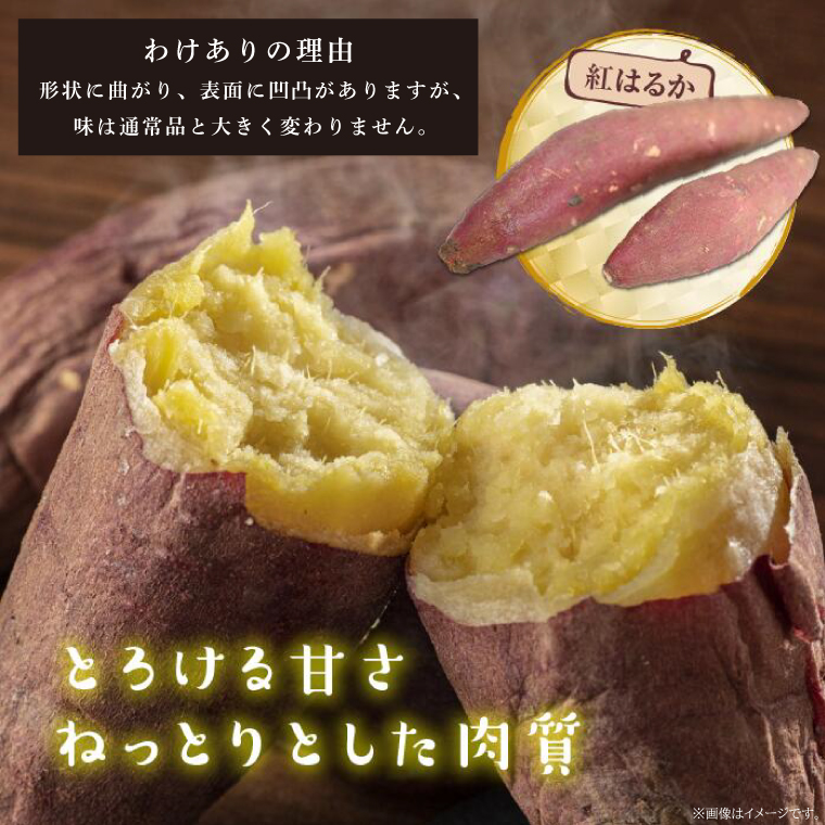 【訳あり】紅はるか 約10kg｜さつまいも 芋 お芋 わけあり 訳あり 紅はるか タネのハシモト 茨城県 行方市(BS-23)