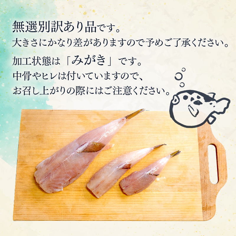 訳あり サバフグ むき身 1kg ( 500g × 2パック ) 小分け 不揃い