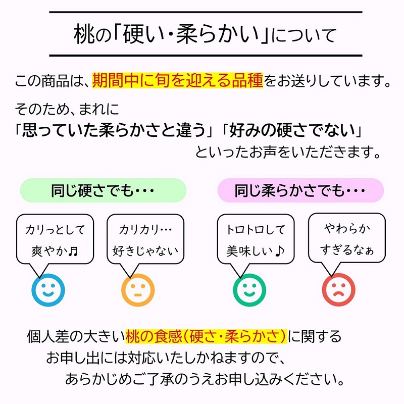 山形県南陽市のふるさと納税 【令和8年産先行予約】 《定期便4回》 フルーツ味わい定期便B 『フードシステムズ』 さくらんぼ 桃 シャインマスカット ラ・フランス りんご 果物 フルーツ 山形県 南陽市 [1141-R8]