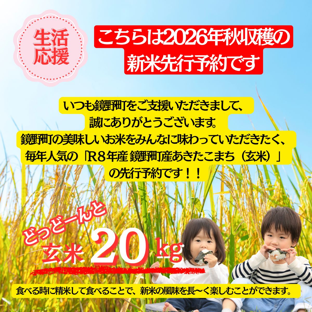 岡山県鏡野町のふるさと納税 【2026年発送分 先行予約】令和8年産 鏡野町産 あきたこまち 玄米 20kg 【033-a014】