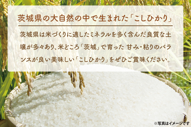 【6ヵ月定期便】 ＜令和7年産＞ 新米 吟穂豊穣こしひかり 2kg ×6ヵ月 精米 コシヒカリ こしひかり 米 ごはん コメ お米 白米 国産 茨城県産