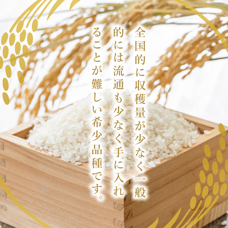 【6ヶ月定期便】大子産米 ゆうだい21（精米）10kg×6回|茨城県 大子町  白米 新米 令和7年産 食味値 コンテスト(AV032)