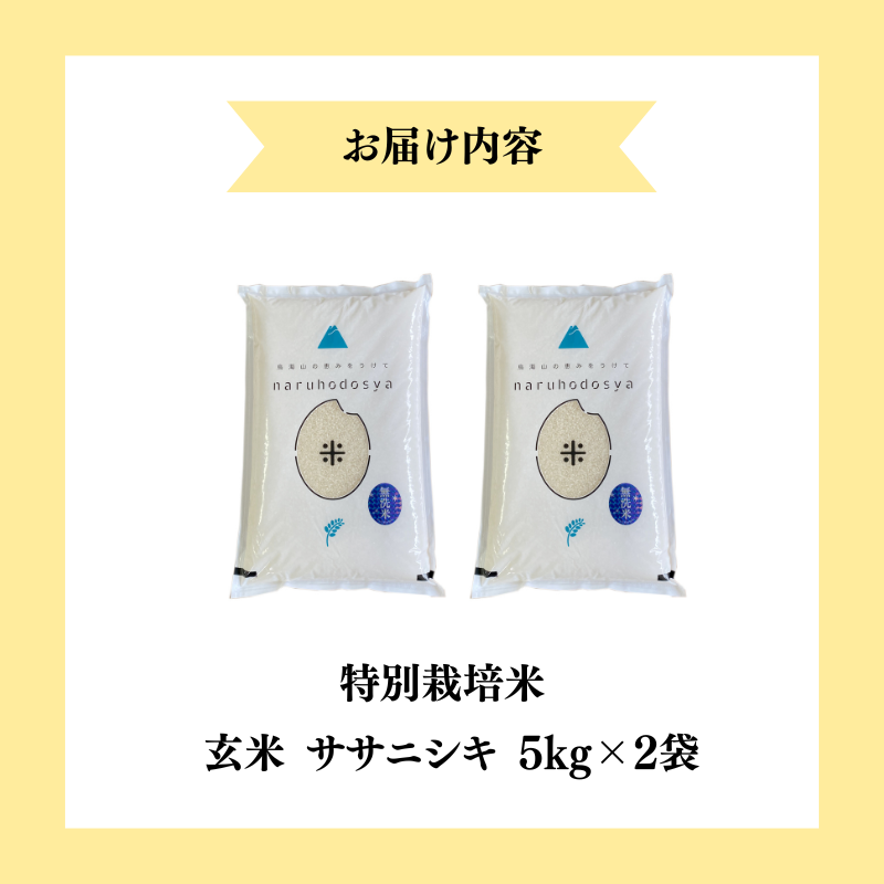 【令和7年産新米】栽培期間中 農薬・化学肥料不使用 【玄米】 特別栽培米ササニシキ5kg×2